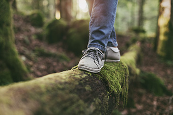 Life Balance Wheel For Mental Health