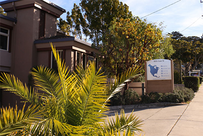 Therapy Services in Monterey