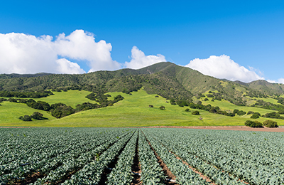 Therapy Services in Salinas