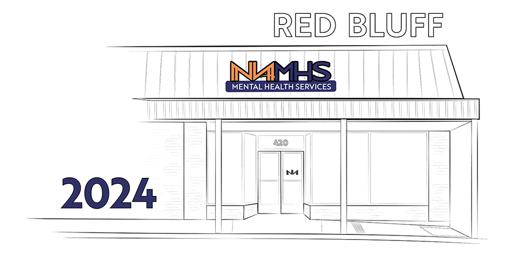 North American Mental Health Services