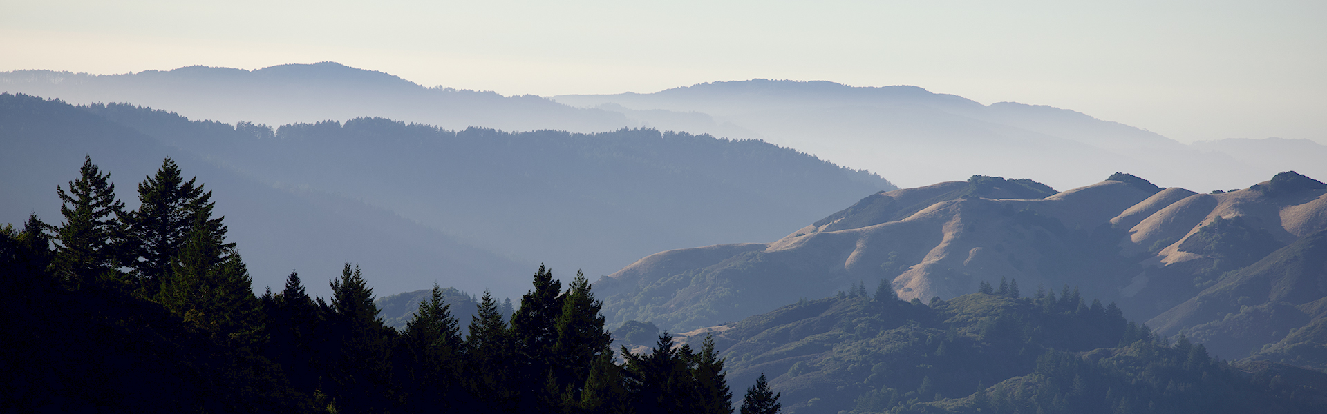 History Of North American Mental Health Services History Of North American Mental Health Services